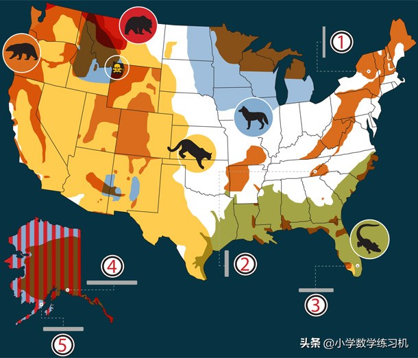 在野外遇到熊该怎么自救,户外遇见熊视频