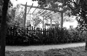 贵圈往事1,贵圈往事