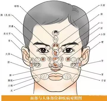 面诊舌诊手诊视频,面诊看舌诊图解