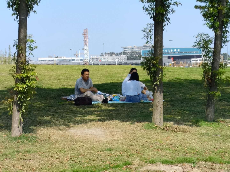 双流空港花田看飞机降落最佳地点,双流空港花田飞机场