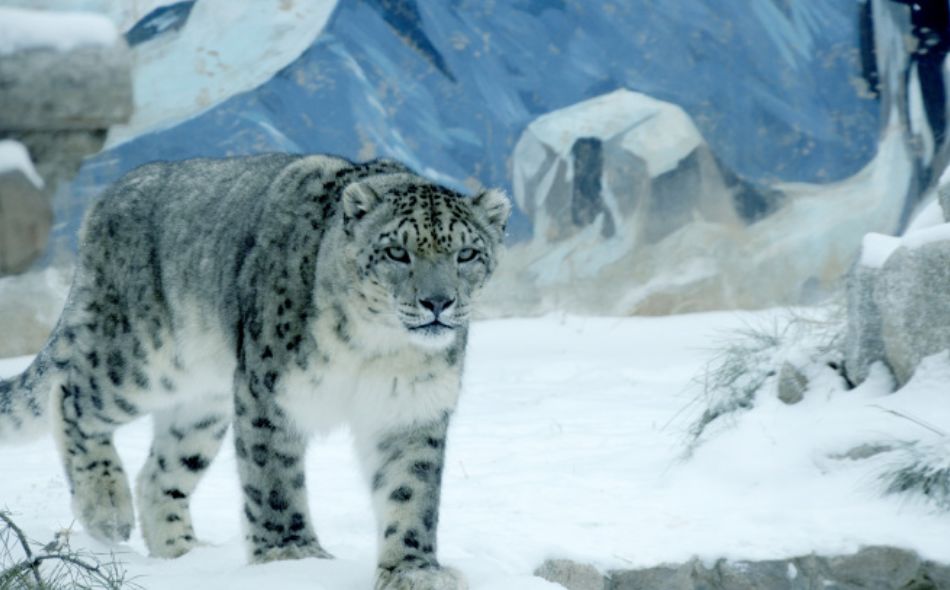 推荐最好玩的乐园,有没有值得玩的地方推荐一下