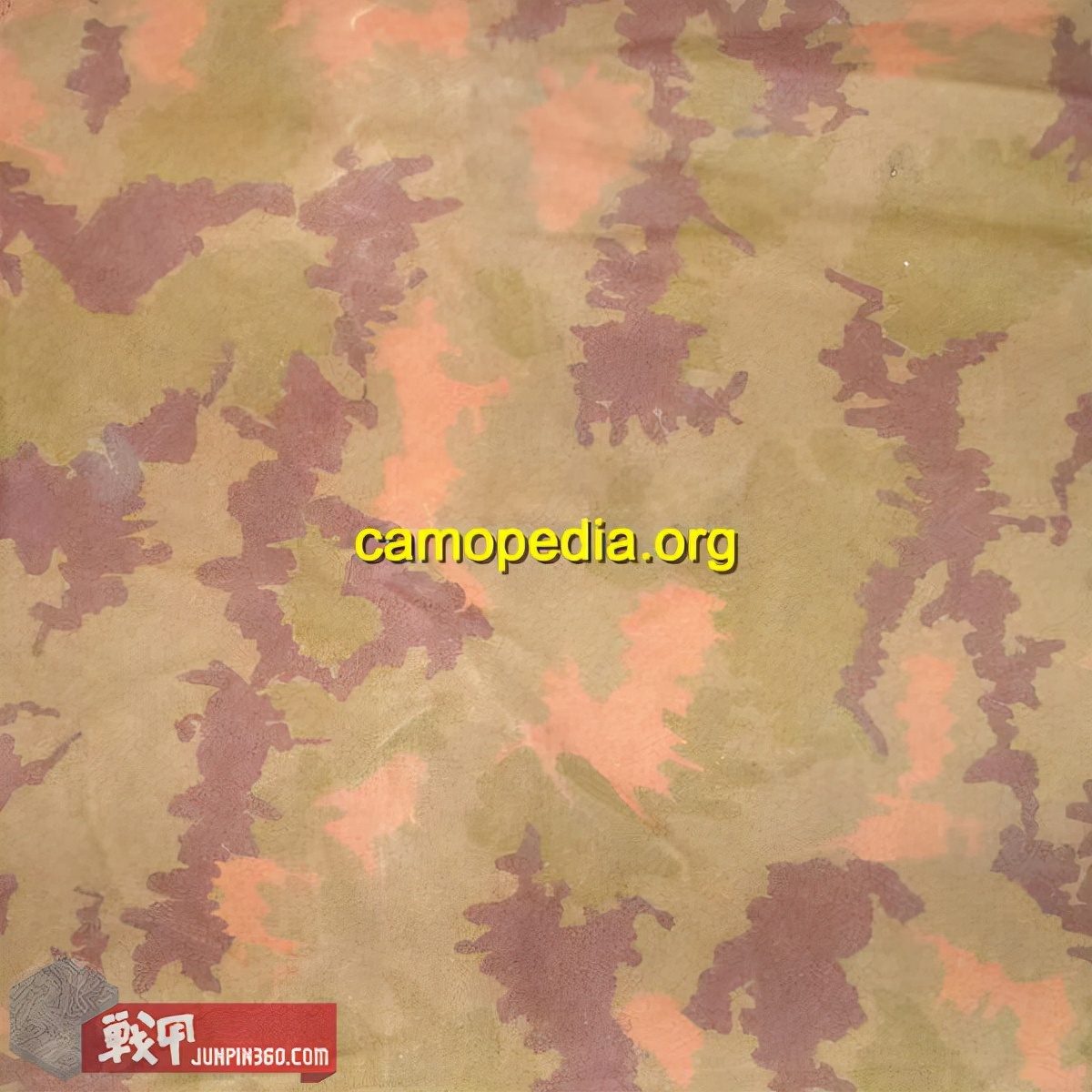 消失的军队有哪些,消失的军团完整版