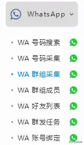 加入WhatsApp群组，精准获客+营销一箭双雕