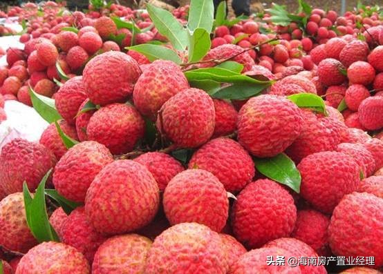 海南临高是个好地方,海南临高风景特色介绍