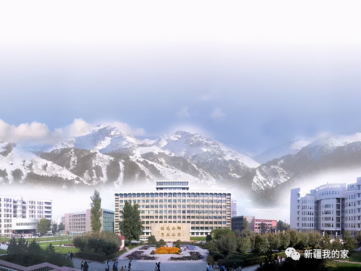 校园美食节登上热搜，*疆新**师范大学没想到你是这样的