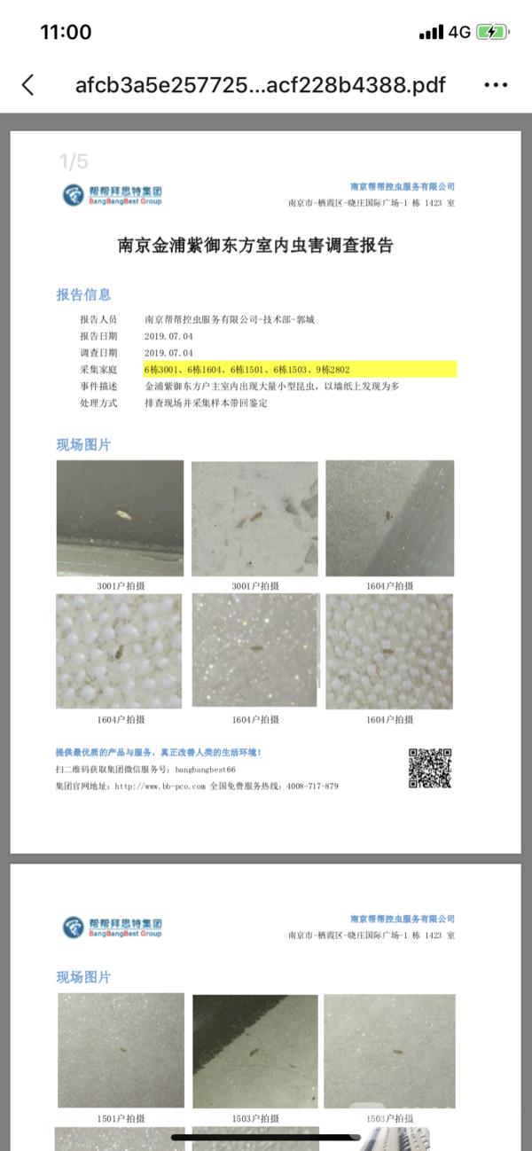 住小区楼层低有各种虫子,小区房子大面积出现虫子