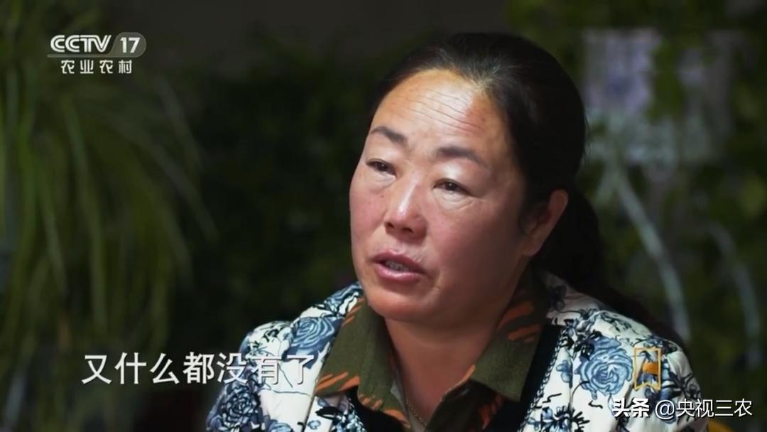 荒漠变绿洲不怕苦也不认命,荒漠变绿洲24年种下300万棵树