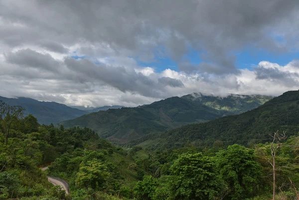 3分钟,5张图,让你一次分清普洱茶山头分布