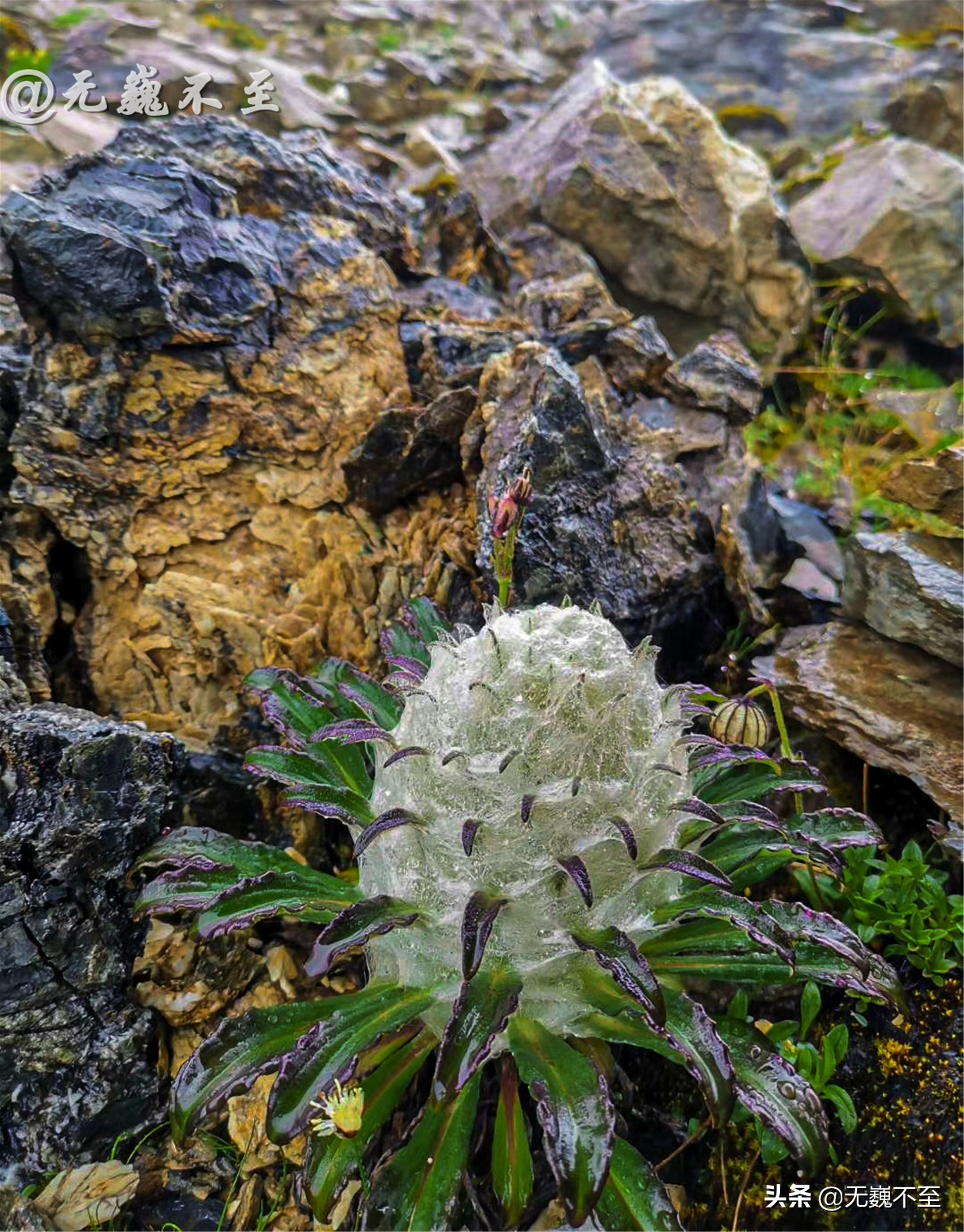 梅里北坡亚贡村,山美水美人更美,真正的香格里拉秘境
