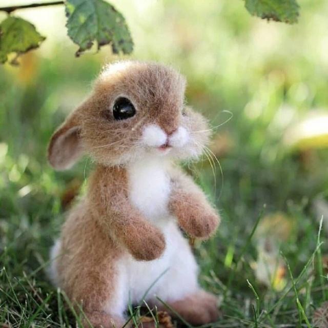 适合发说说的句子搞笑简短一点,很皮又很逗比的说说短句