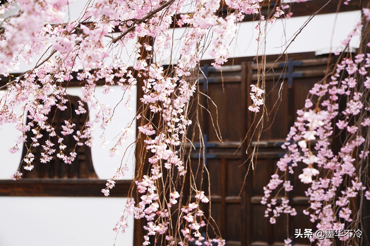 京都一眼千年的美景,京都永恒的美