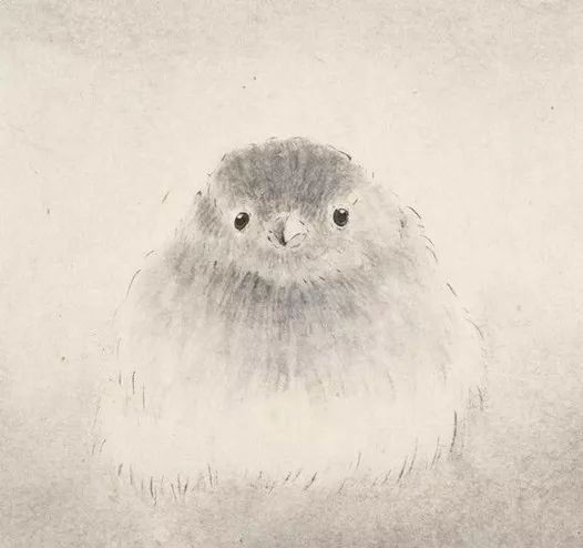 最简单画鸟的画法,各种鸟的画法简单又漂亮