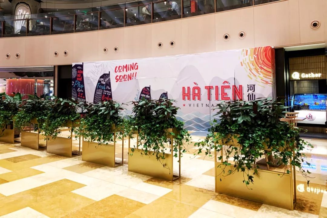 4月的日记,4月观察日记