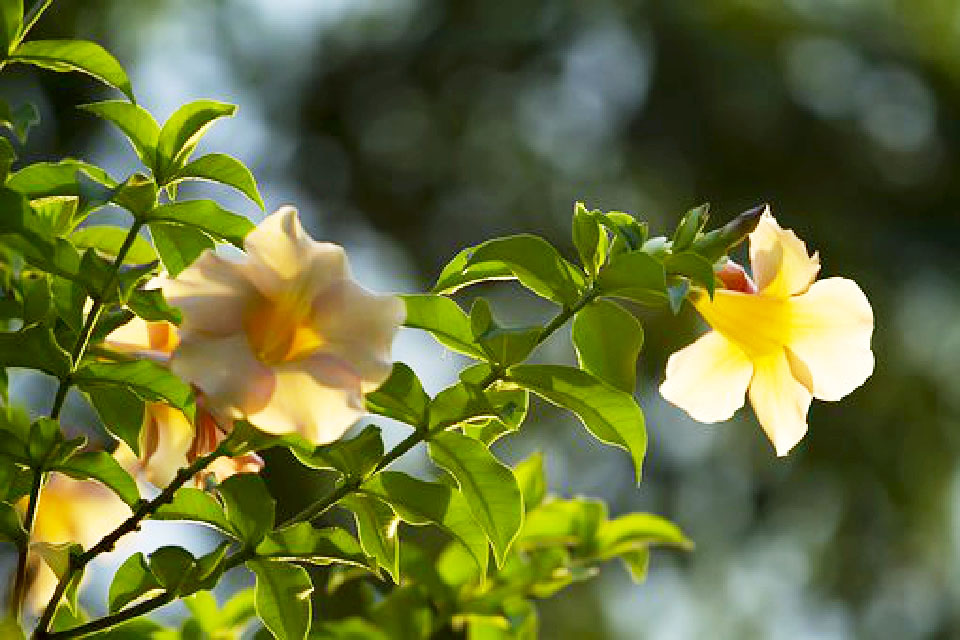写进心坎的说说短句句句穿透人心,触及心灵的经典说说