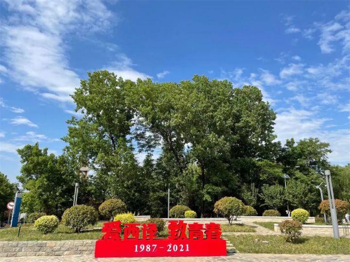 爱上西译的66个理由