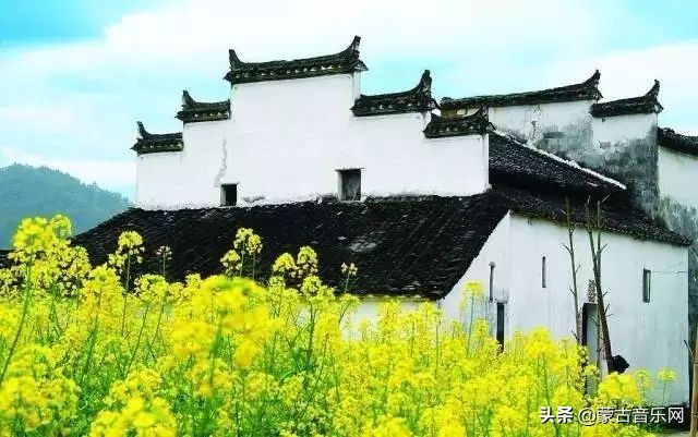 新歌推荐|乌兰娜《童年的油菜花》油菜花开正当时不负*光春**不负己