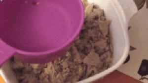 猫咪冻干大百科，主子的零食是不是有着落了？