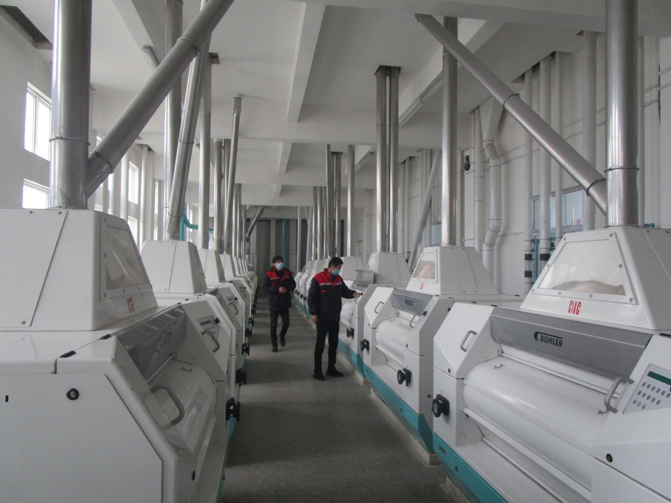 安徽省灵璧县永盛面粉厂,防疫不松劲