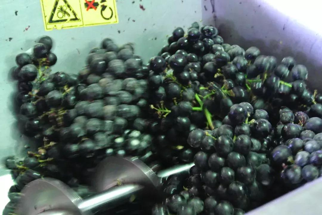 真正的红酒是怎么酿造的,喝了这么多年酒