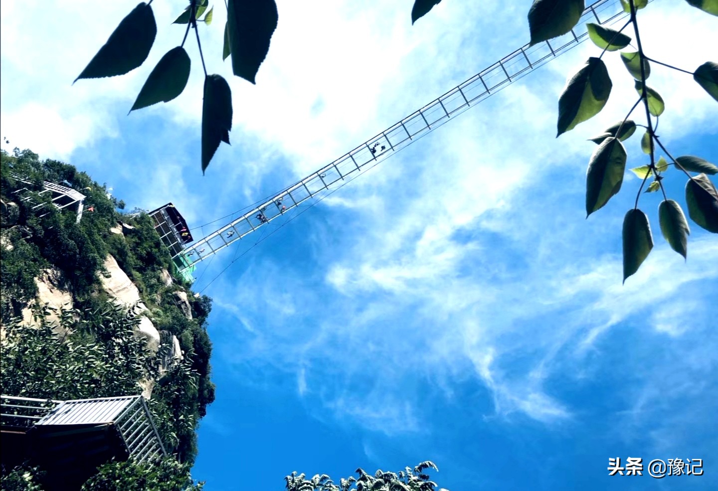 河南灵宝现在有什么水果,河南都有哪些水果