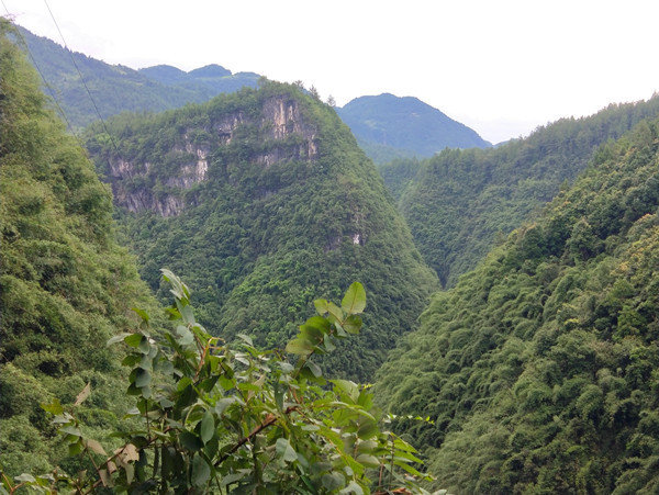 彭水阿依河旅游路线,重庆彭水阿依河漂流双人行攻略