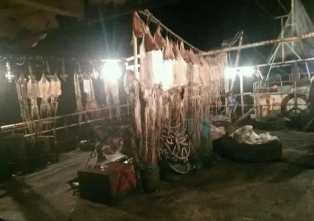 我在远洋船上捕鱼的日子，用啤酒跟俄国人换帝王蟹，香烟是硬通货