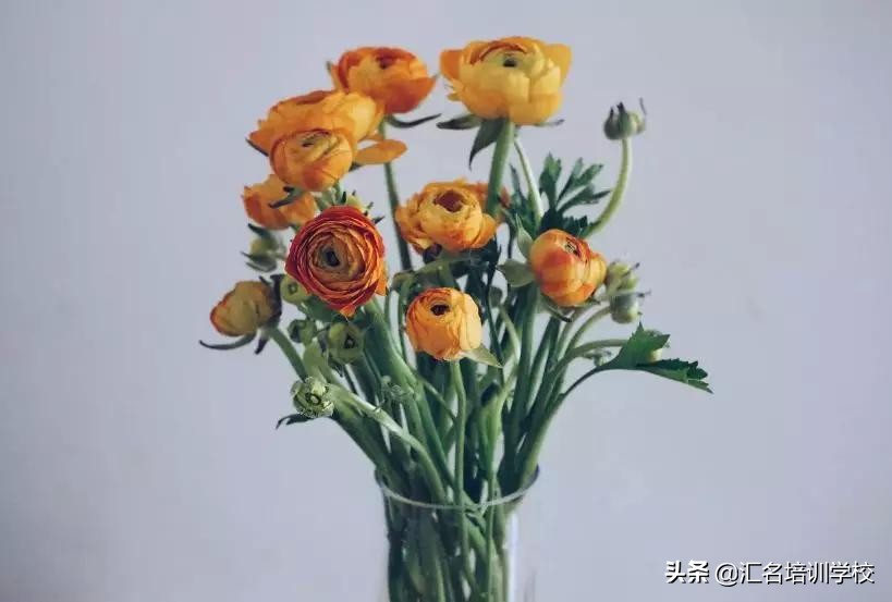 花艺十六种手法,流行花艺简单教学