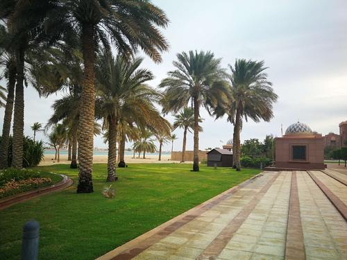 你不知道的10条国家冷知识——阿布扎比(迪拜的老大哥!)