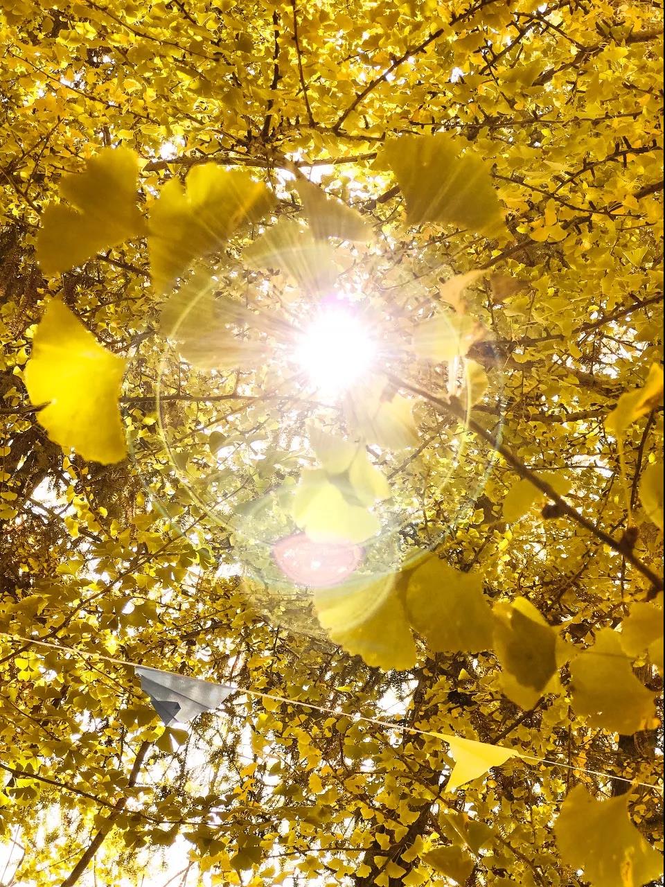 十二月份去云南好玩吗,4月去云南哪里人少景色又好