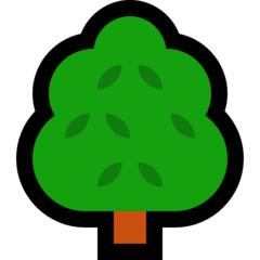 365澶╄窡366澶╃殑鐢辨潵,365澶╀笌366澶╃殑鐢辨潵