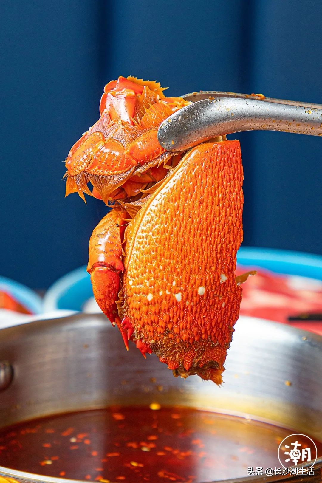 上海海鲜自助餐厅,上海海鲜自助餐厅哪家性价比最高