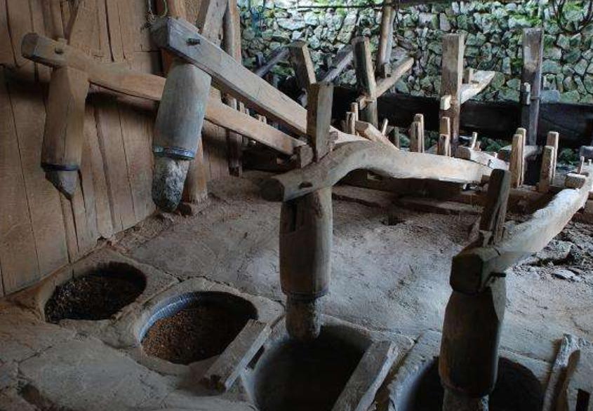 北宋时期社会发展特点,北宋农业生产技术提高的表现