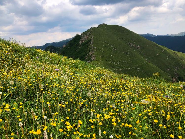 小五台山景区游玩攻略,小五台山快乐一日游