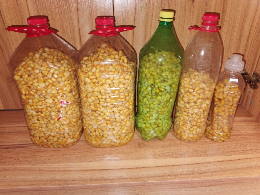 冬季野钓鲫鱼打窝好还是不打窝好,野钓打窝怎样打