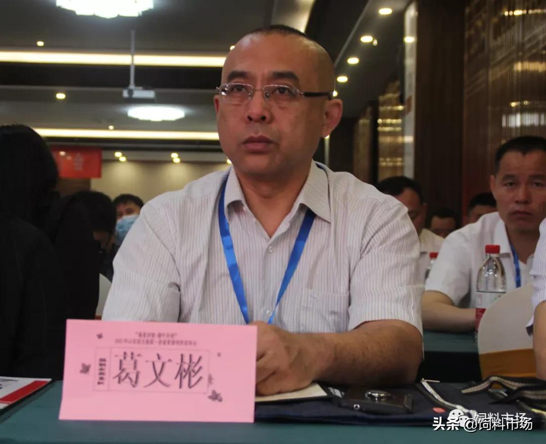 山东活力集团,长清区活力集团