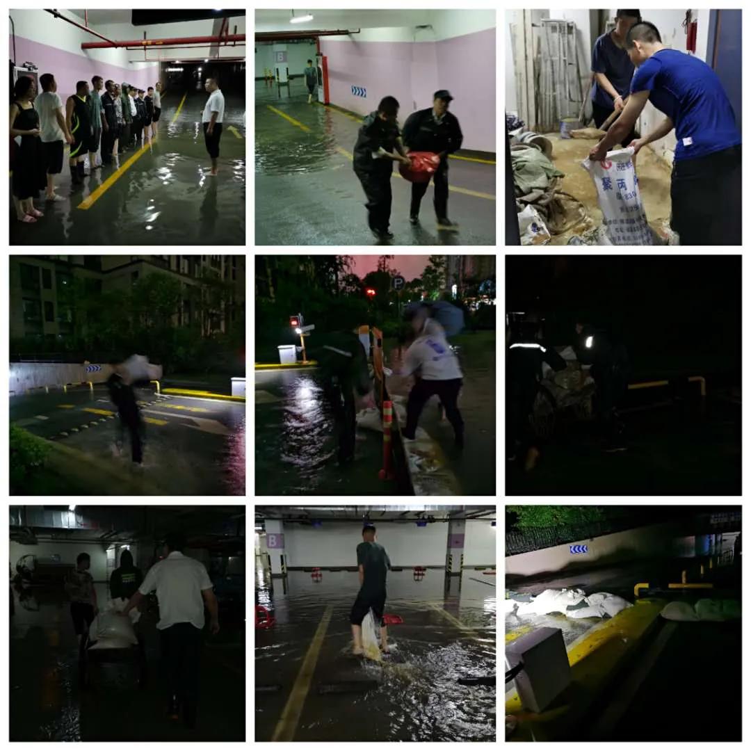 中国十大物业品牌排名,十大最强物业排名