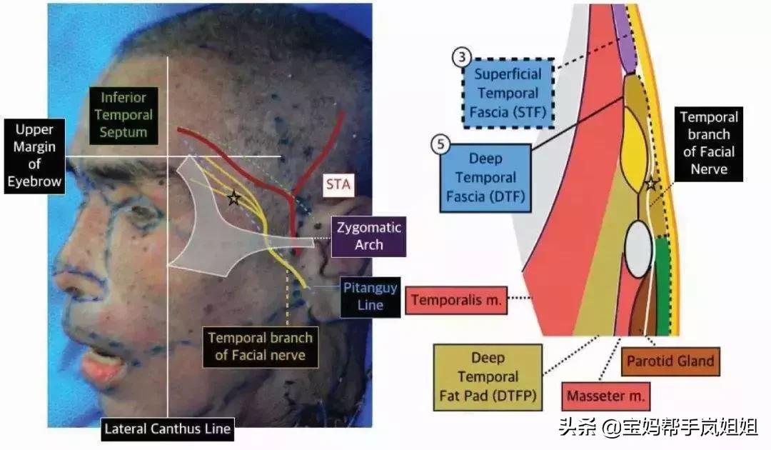 体温计不太准,耳温枪和体温计哪个更准