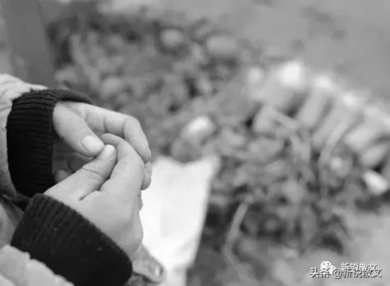 李景宽,李景宽编剧