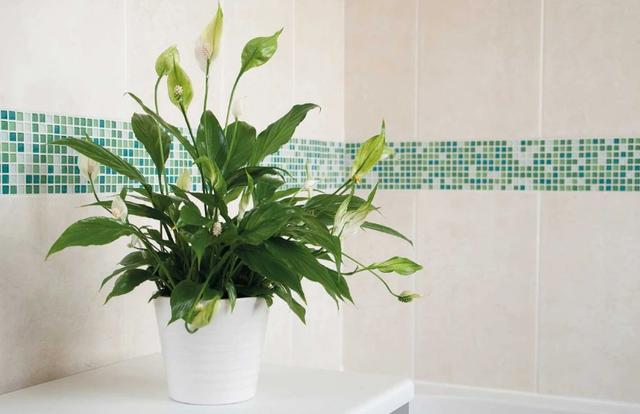 这才是我心目中的厨房设计,真正的极简装修设计