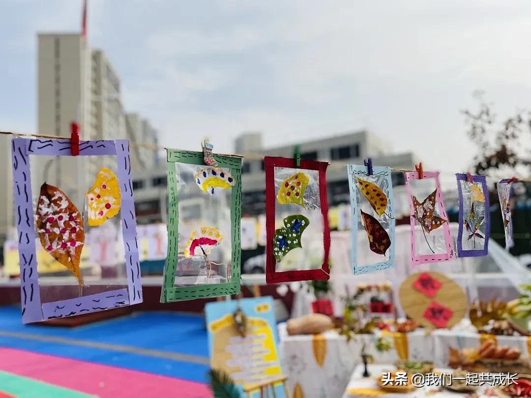 寻一抹秋色，遇一片美好：济南市启明星幼儿园的秋之美