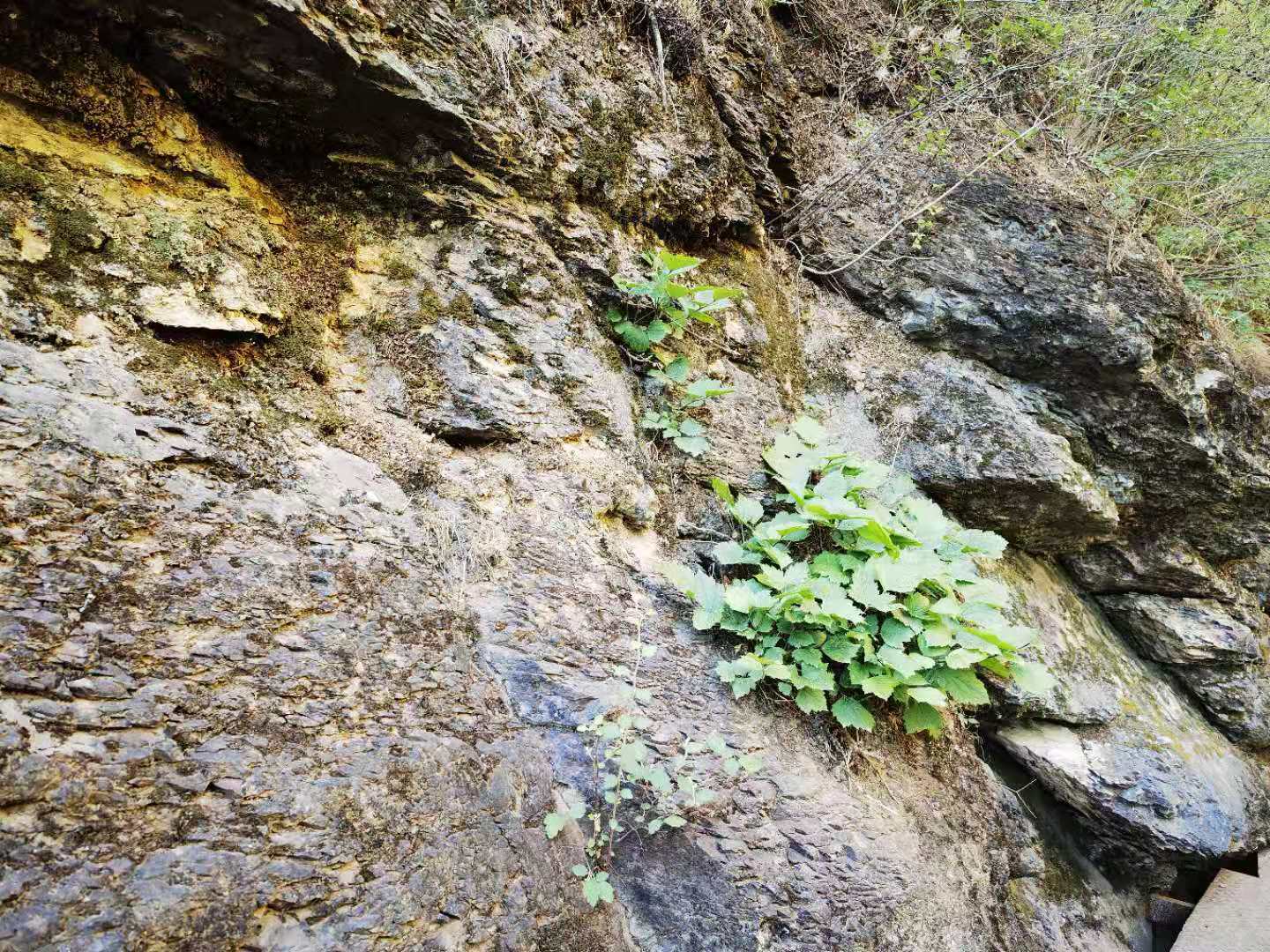 打卡北京双龙峡风景区,十里溪流百潭瀑布,北方小九寨名不虚传