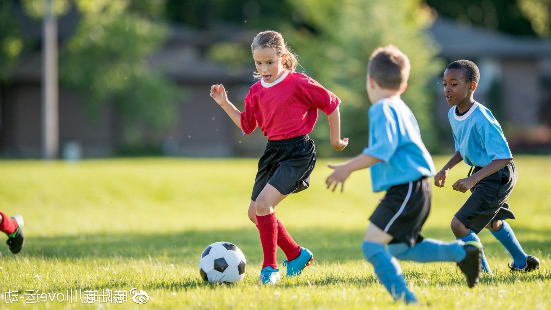 孩子跌倒爬起来的教育视频,培养孩子自立自强抗挫折