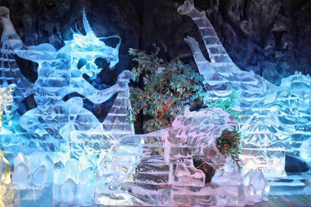 济州岛应该冬天去还是夏天去,冬日济州岛怎么玩