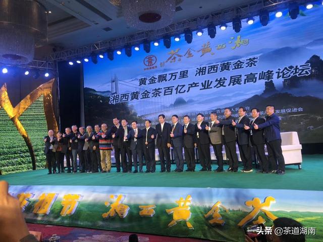 湘西黄金茶叶,湘西的黄金茶中国排名