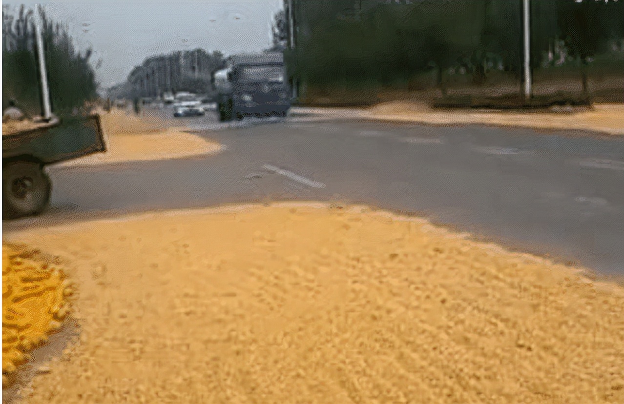 马路晒稻谷出现的事故,马路晒稻谷小心变成车祸现场