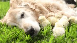 睡觉无缘无故脖子青了一小块,睡醒发现脖子有一圈青了