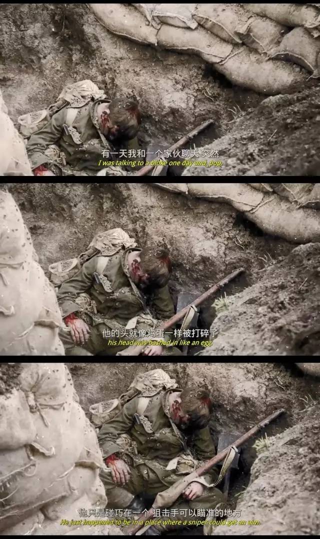 11月电影片单,11月片单