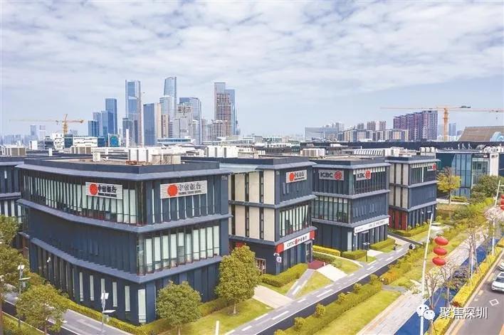 深圳市公园现在开放了吗,深圳这些公园今起恢复开放