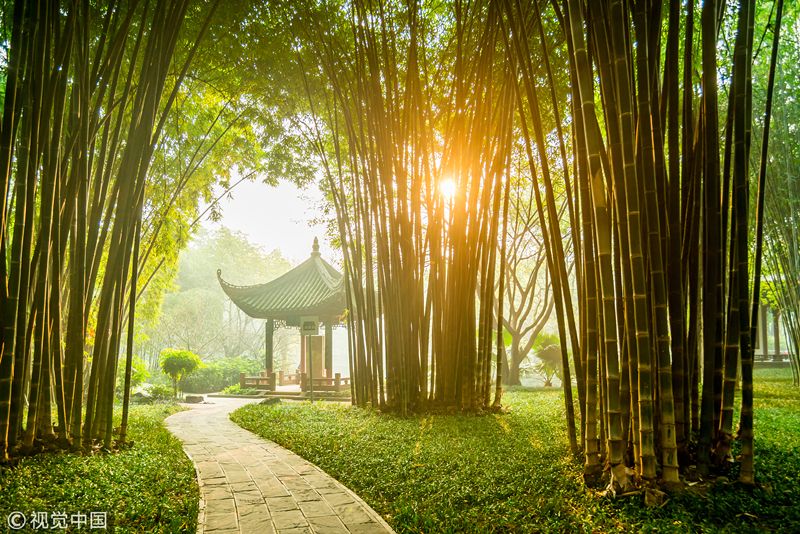 创建省级生态园林县城表态发言,省级生态园林城试点