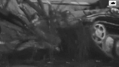 战车溯源:集万千“魔法”于一身的D系中坦实际是个“备胎”